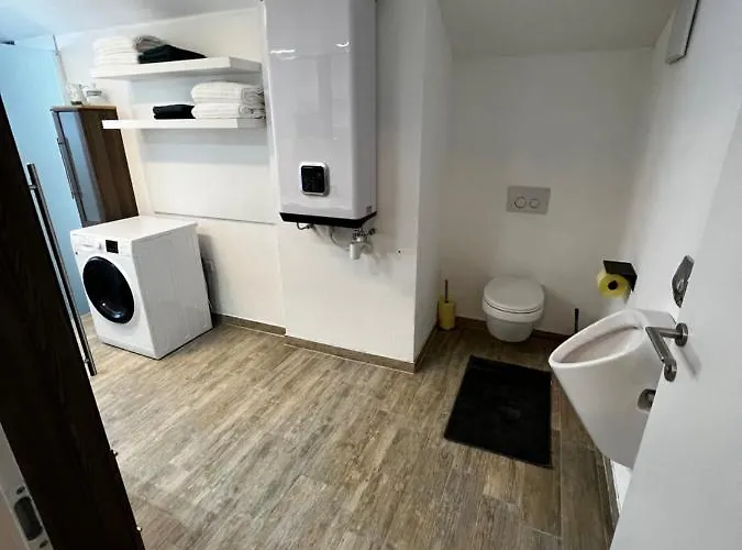 Haus Bergfeld With The View Over Dachstein Apartment